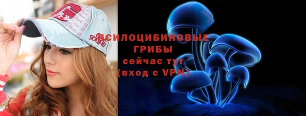 мяу мяу мука Алзамай