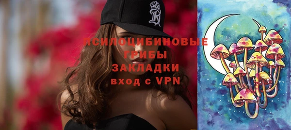 шишки Лагань