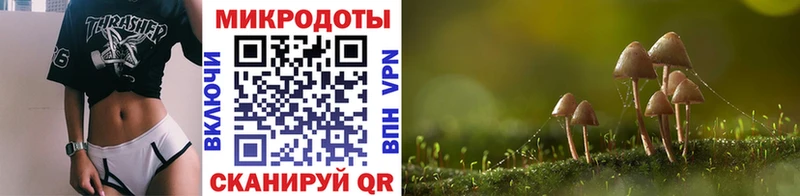 где можно купить наркотик  Раменское  Псилоцибиновые грибы GOLDEN TEACHER 